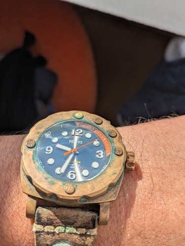 Pontvs marino bronze - bronze, diver